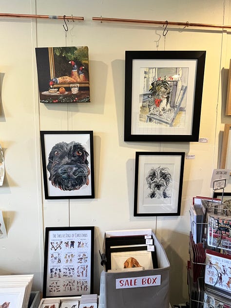 Photo of Dog portraits hung on the wall of the artist Jo Scotts Studio
