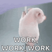 work GIFs | Tenor work GIFs | Tenor