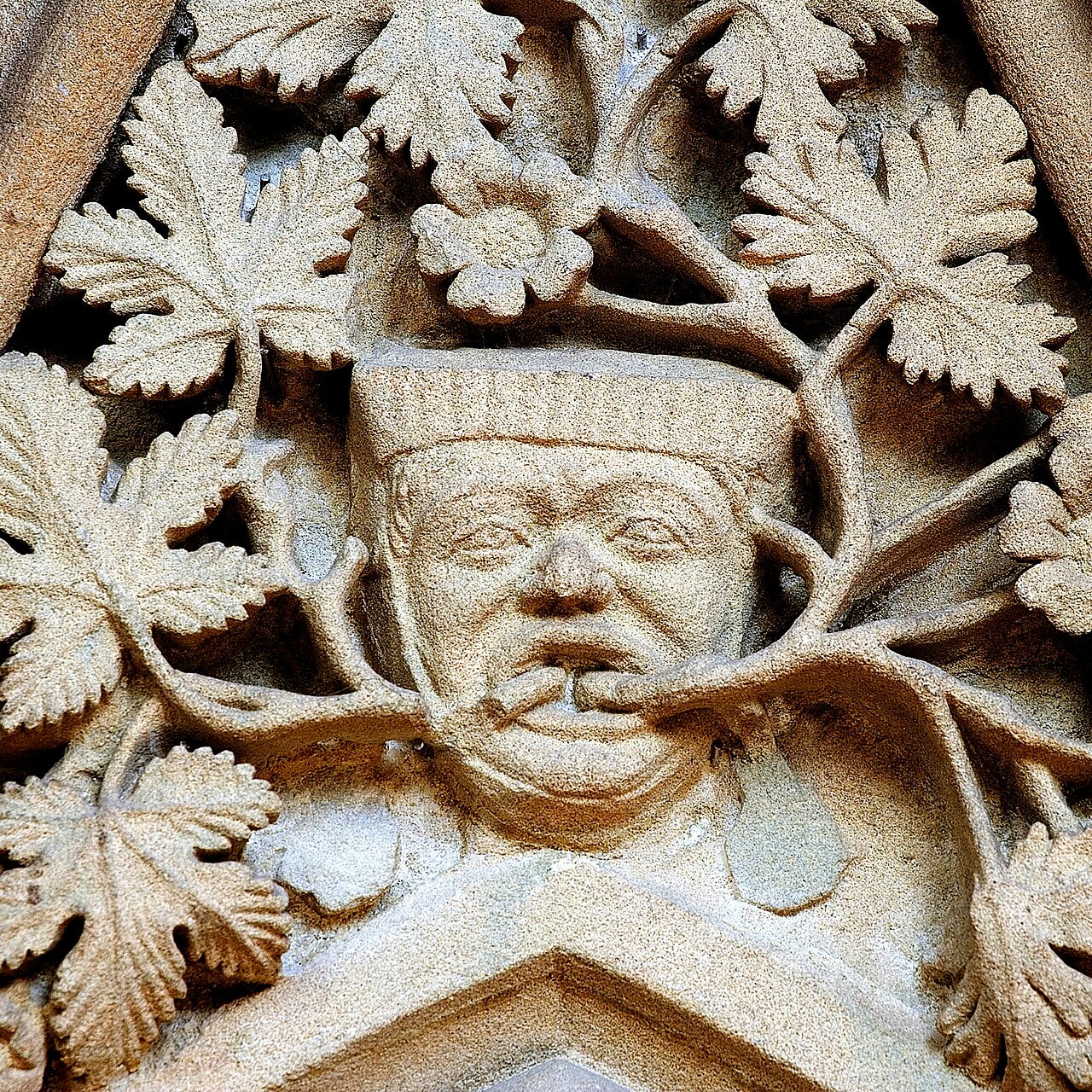 A Museum in the Woods