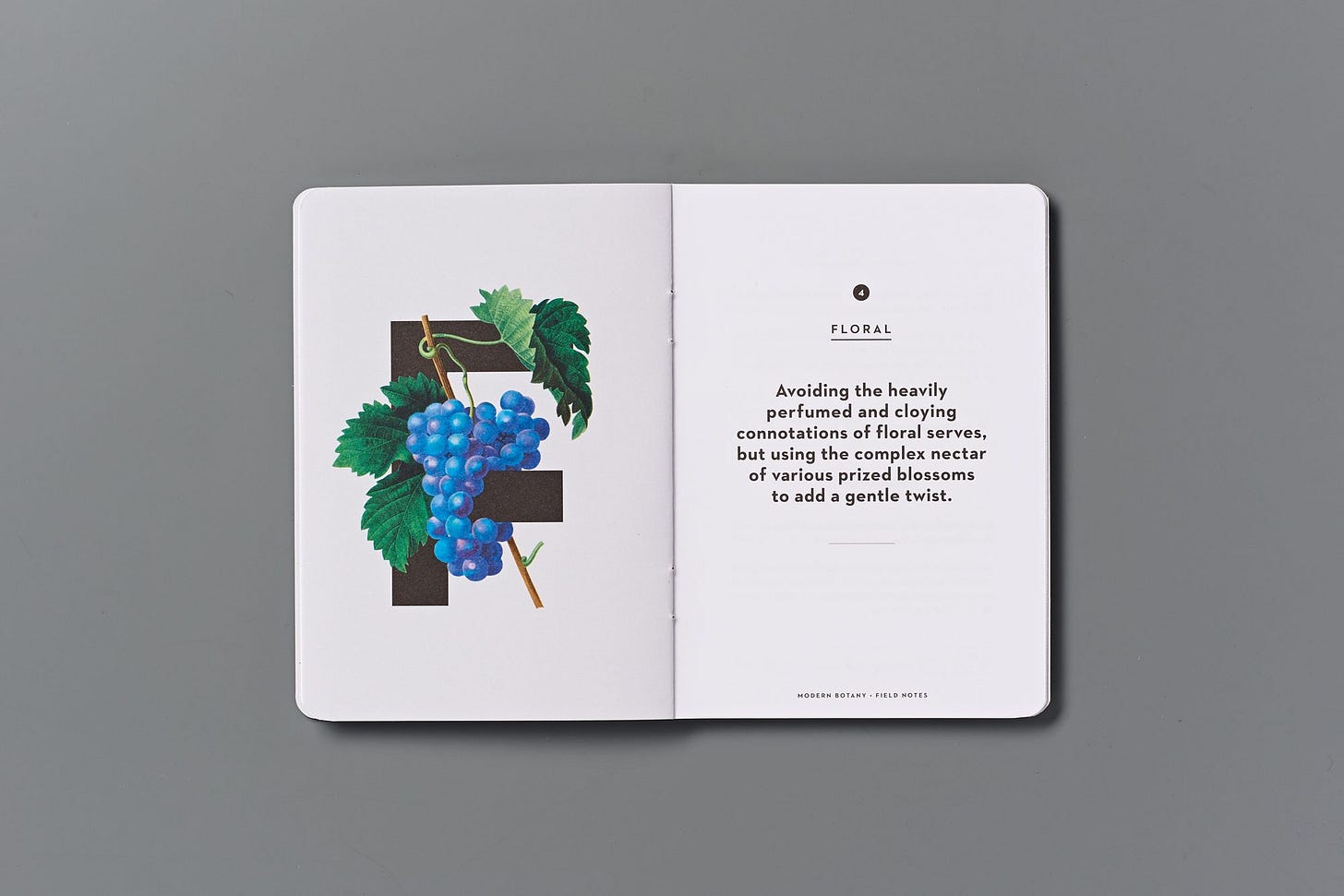 Dandelyan | Brand Identity | Magpie Studio