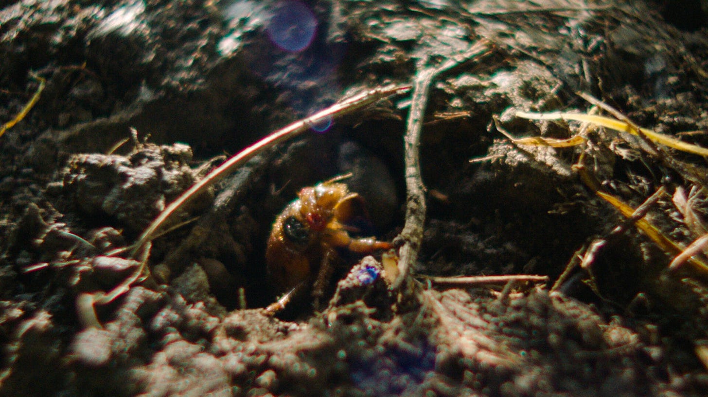 Your Final Meditation - corey.hughes