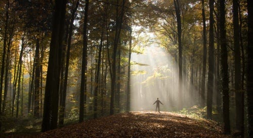 Are You Losing Perspective? - My Present Outlook On Life