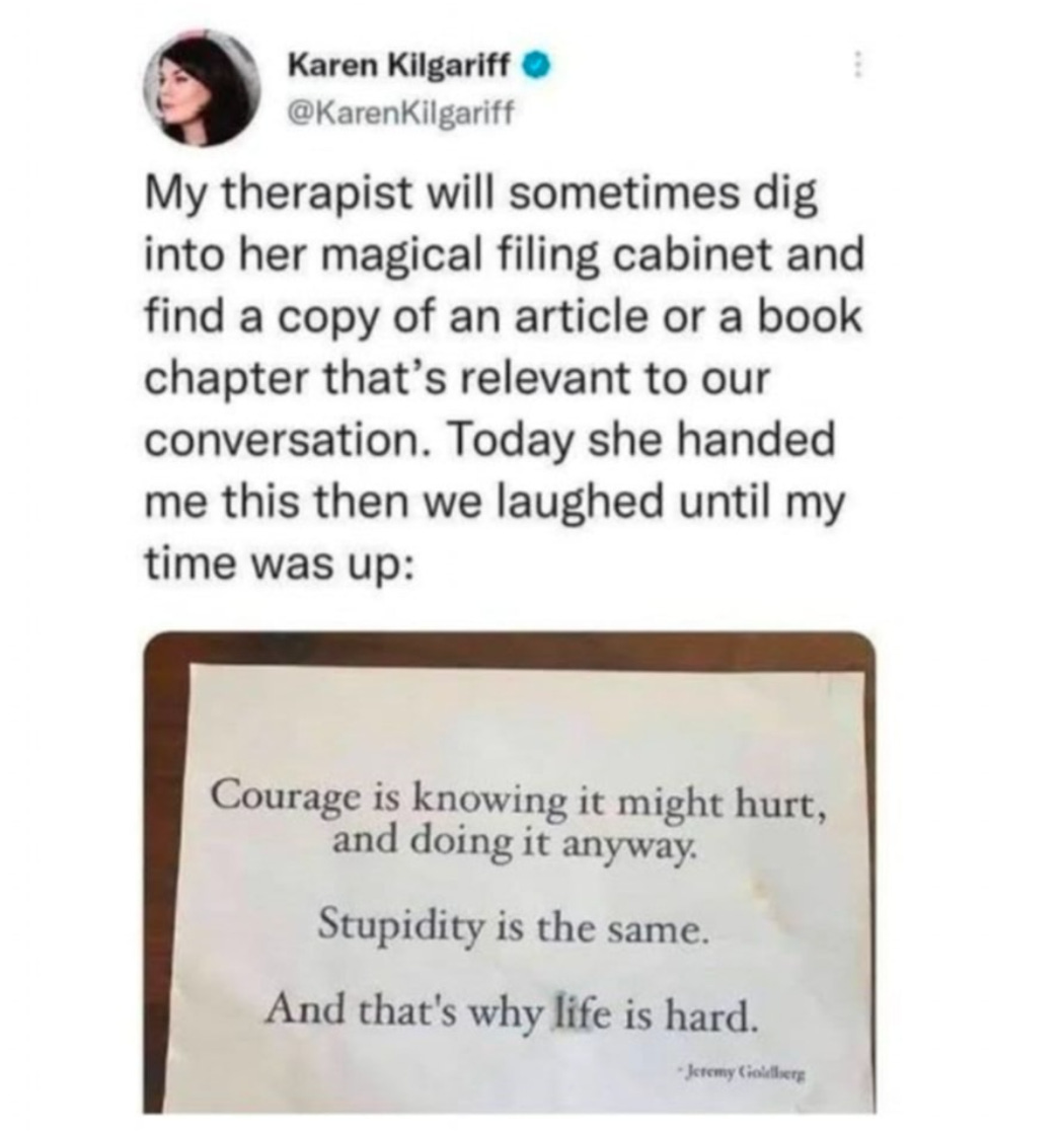 Image shows a reshared post by @booksofbrilliance, original post was from @karenkilgariff, the quote reads, " My therapist will sometimes dig into her filing cabinet and find a copy of an article or a book chapter that's relevant to our conversation. Today she handed me this then we laughed until my time was up:  small image of a page from a book says: "Courage is knowing it might hurt, and doing it anyway. Stupidity is the same. And that's why life is hard. " - Jeremy Goldberg