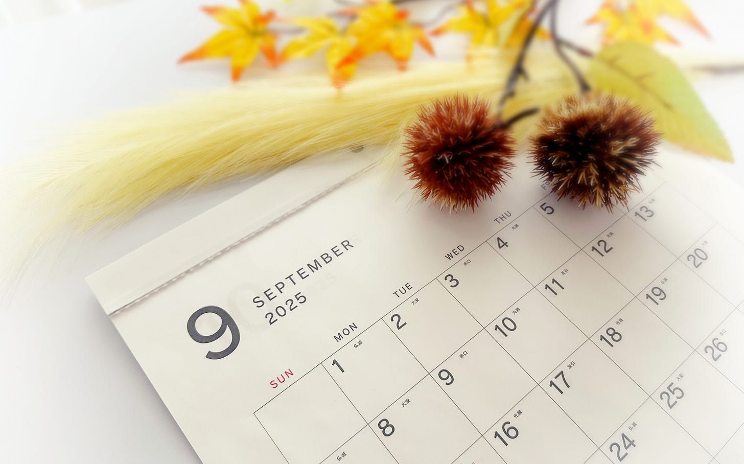September 2025 Calendar September 2025 Calendar
