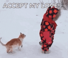 a child is standing in the snow with a cat .