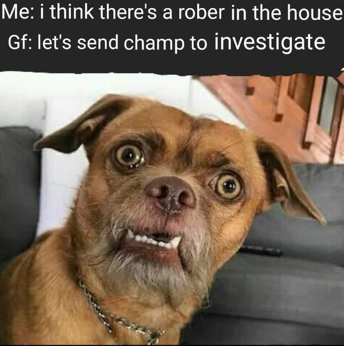 When you hear a noise in your house at night - Funny