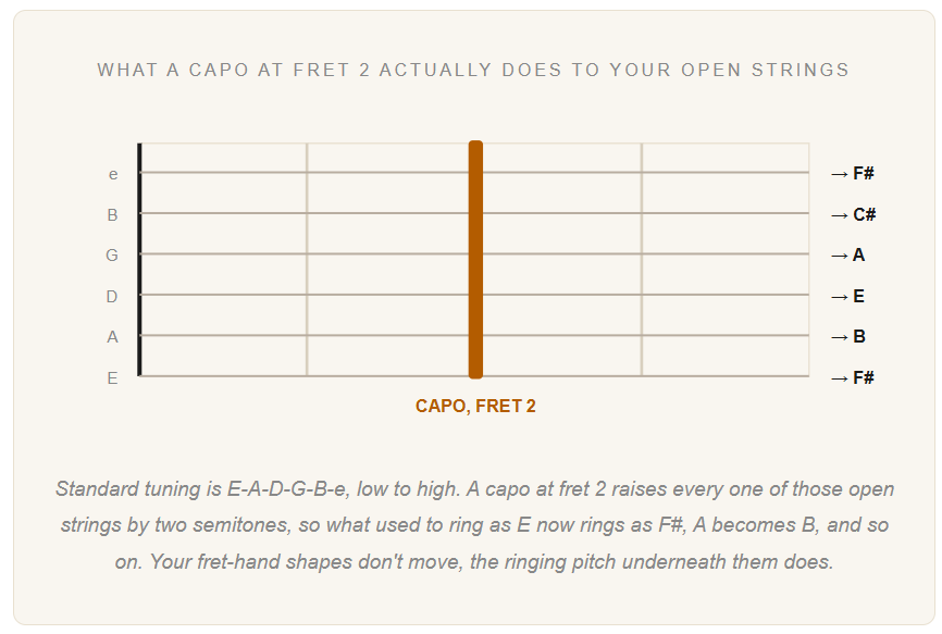 The Capo Cheat Code The Capo Cheat Code