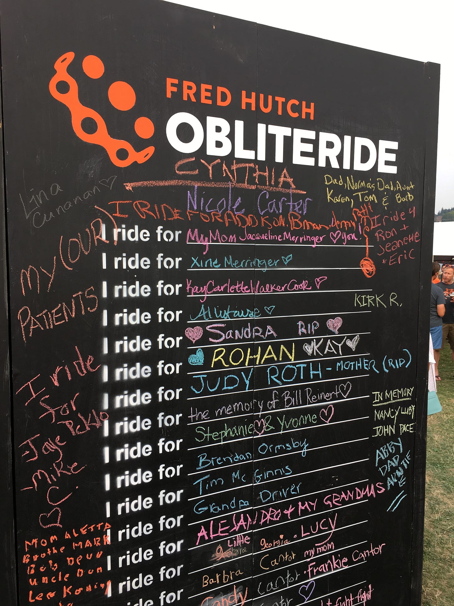 Part of the Obliteride chalk wall