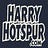 Harry Hotspur