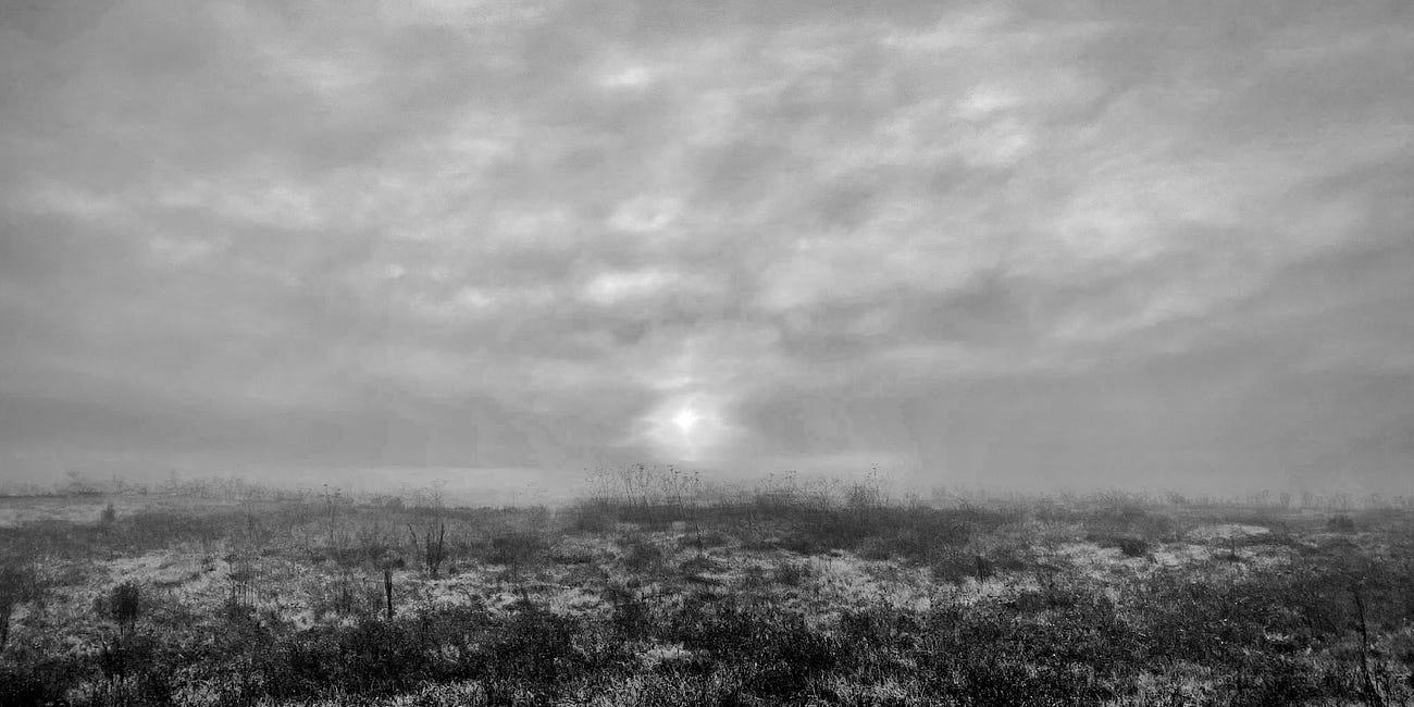 ...days watching night sky...