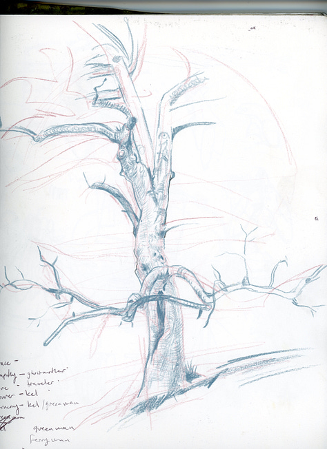 a collection of pages from Claire Donaldson's Sketchbooks