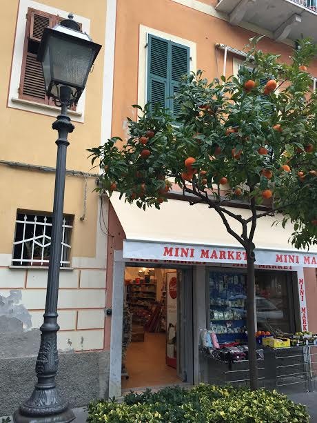 oranges & shop oranges & shop