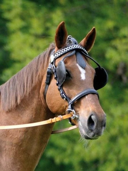 Apparently, the use of horse blinkers (more commonly known ...