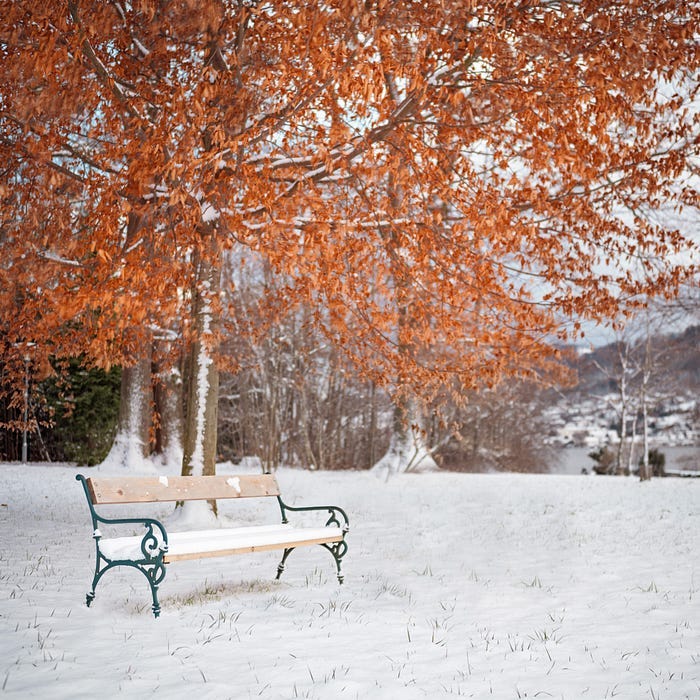 A small wooden park bench on a snowy day. A small wooden park bench on a snowy day.