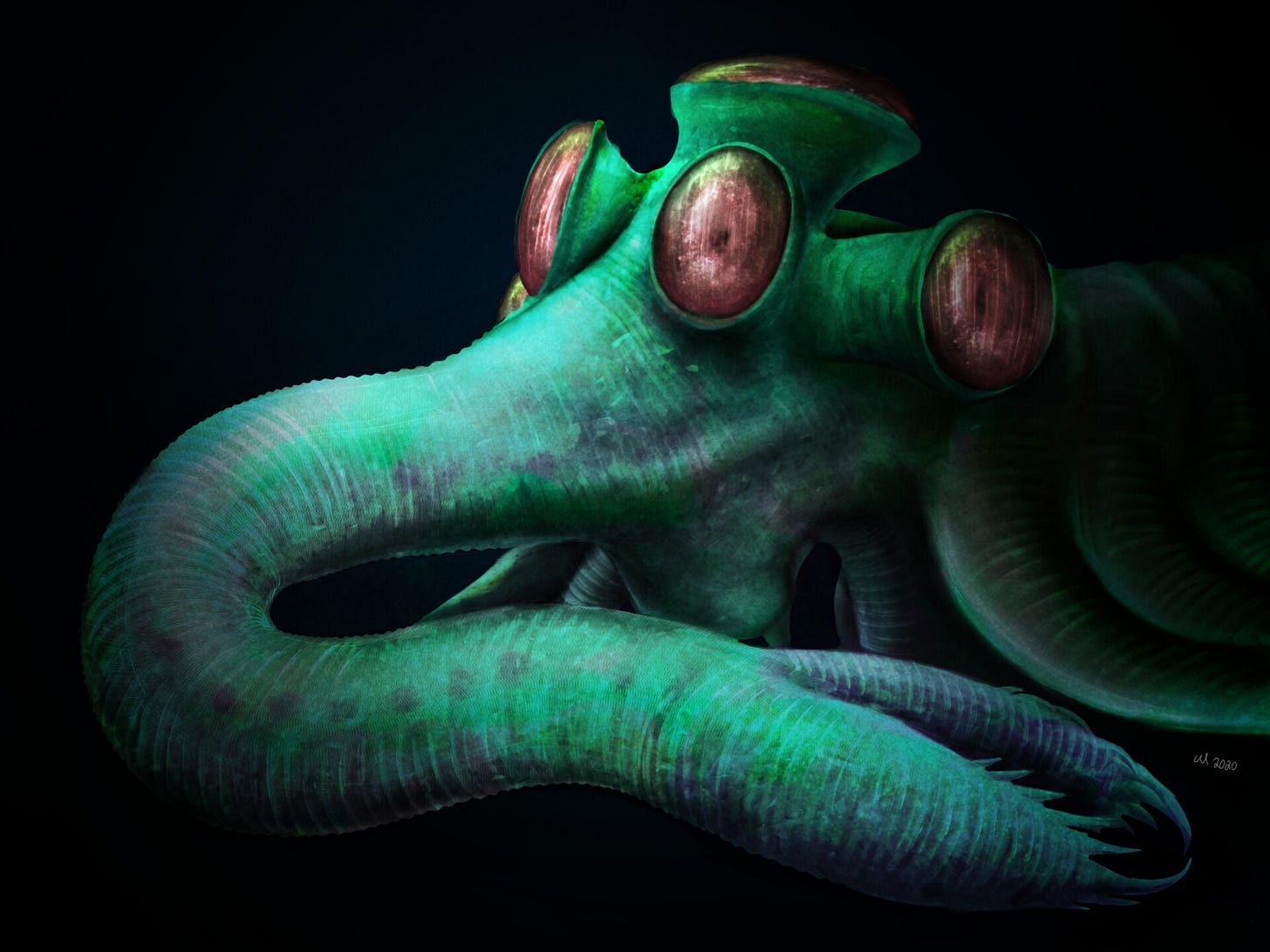 Opabinia regalis Portrait