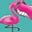 Patti Maley's avatar