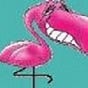 Patti Maley's avatar
