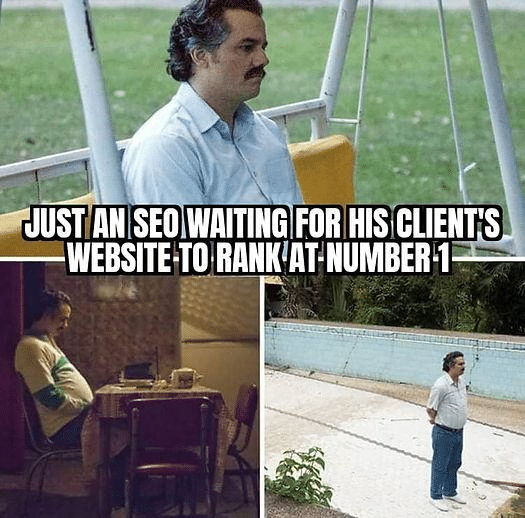 SEO Memes: The Ultimate Collection for a Good Laugh SEO Memes: The Ultimate Collection for a Good Laugh