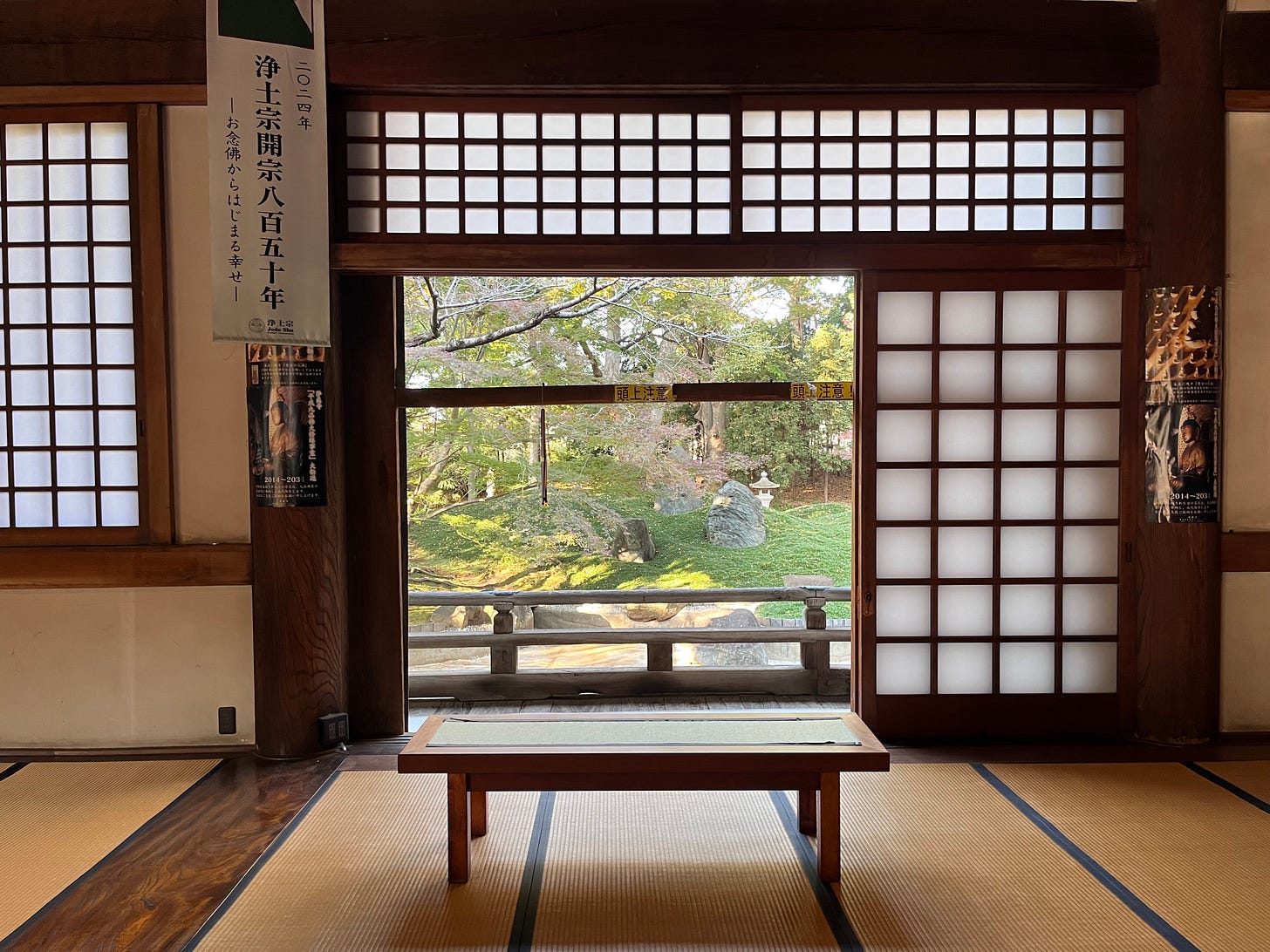 a garden seen through an open screen door, with a bench in front