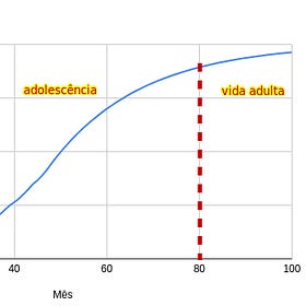Como Crescer um Negócio SaaS em Diferentes Maturidades
