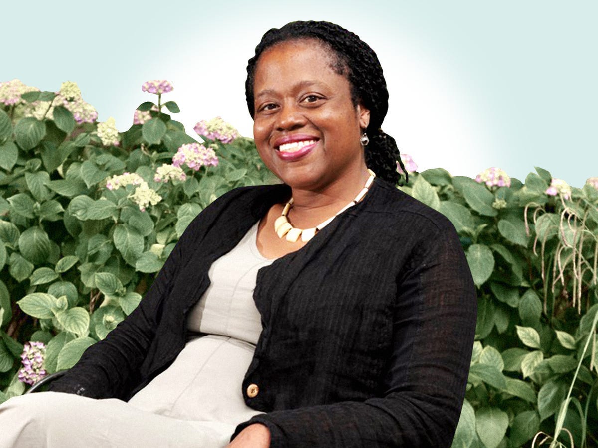 The Era of Pandemic Literature Is Upon Us, and It's Starting With Regina  Porter's 'Daily Cleanse'