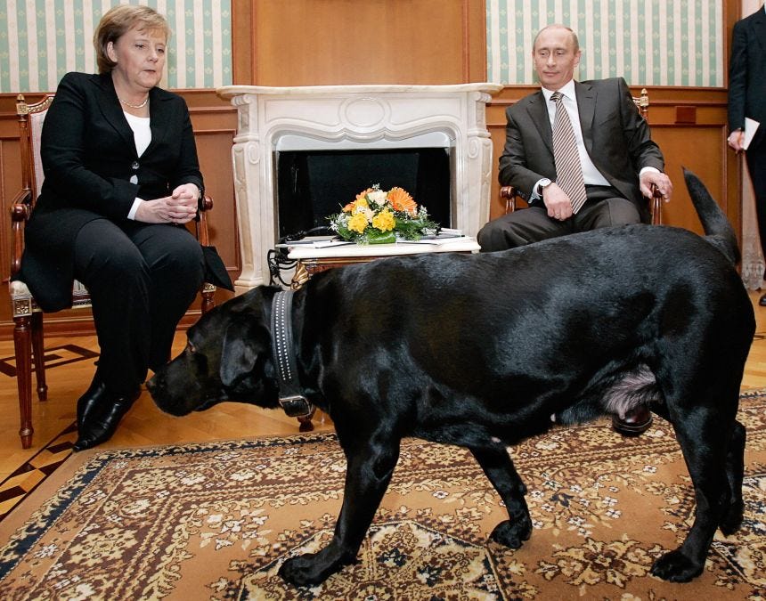 Germany's Angela Merkel watches uneasily as Russian President Vladimir Putin's dog approaches in 2007.