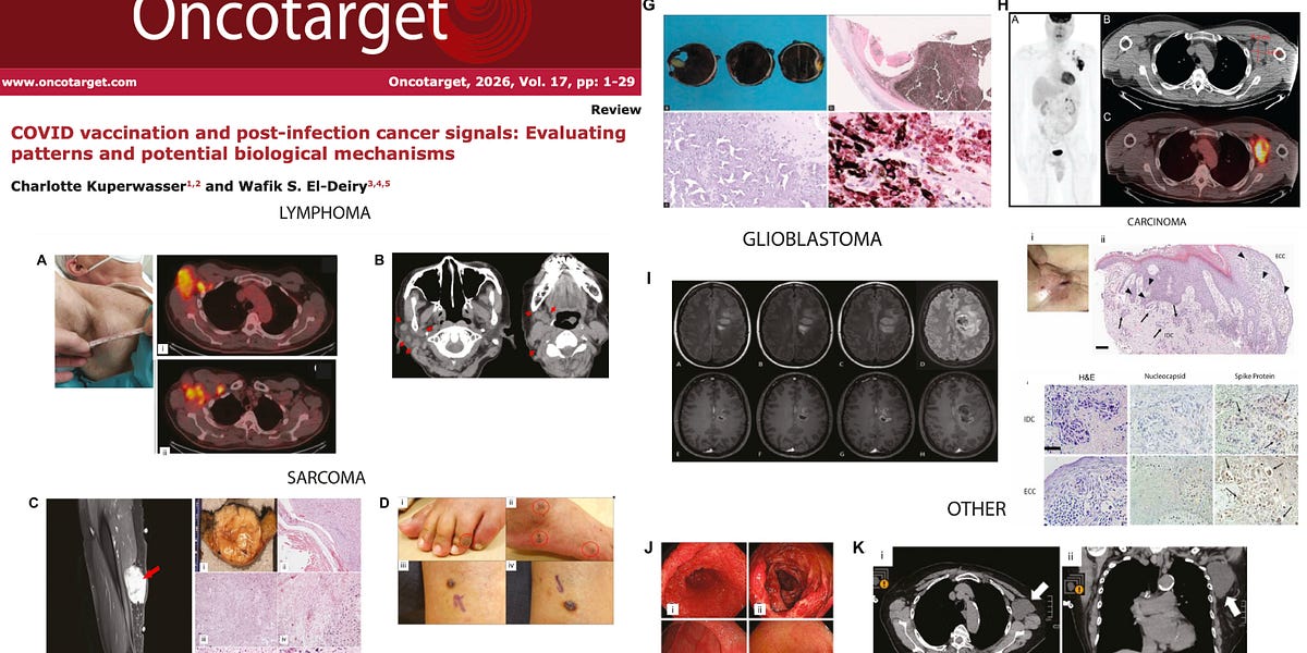 BREAKING: Study Identifies Over 300 Peer-Reviewed COVID-19 "Vaccine" Cancer Cases Across 27 Countries — Journal Hit With Cyberattacks