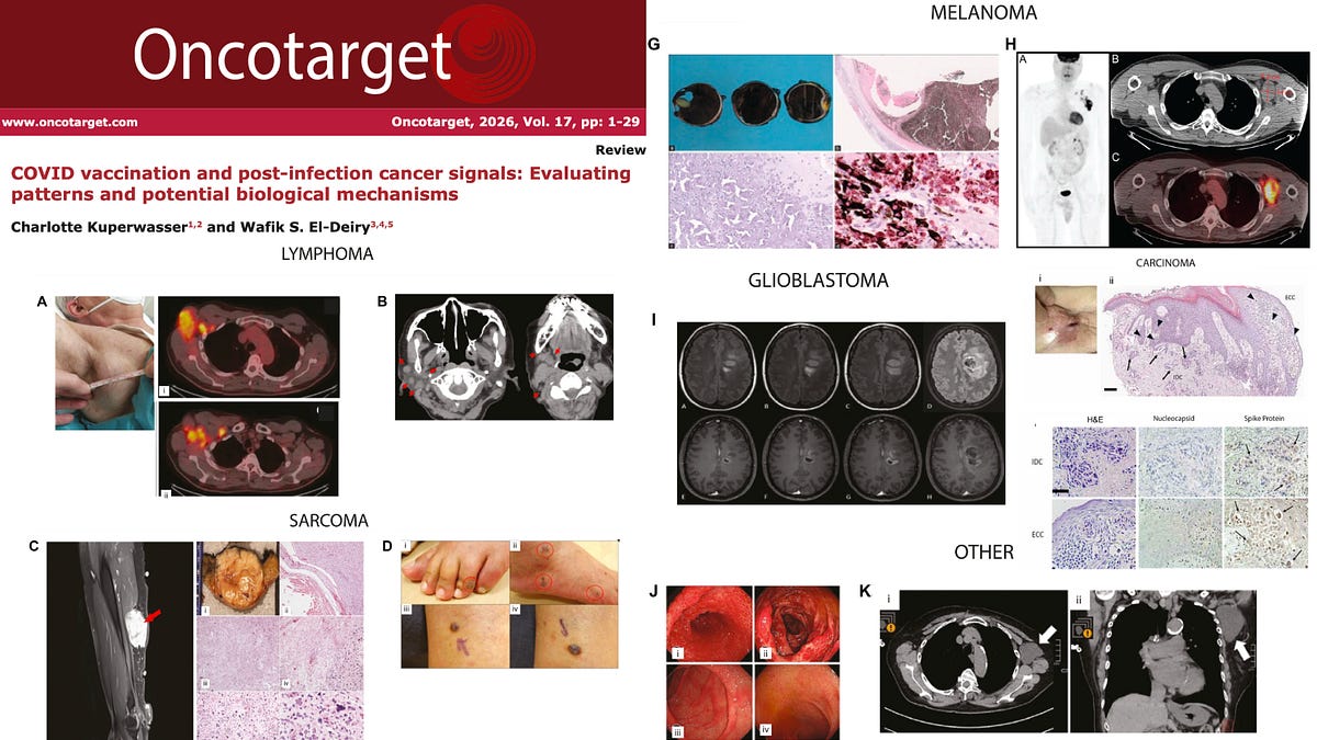 BREAKING: Study Identifies Over 300 Peer-Reviewed COVID-19 "Vaccine" Cancer Cases Across 27 Countries — Journal Hit With Cyberattacks