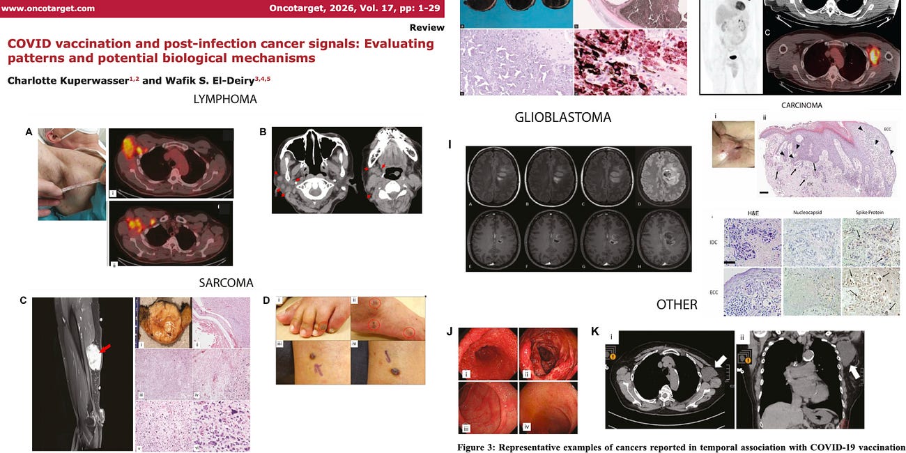 BREAKING: Study Identifies Over 300 Peer-Reviewed COVID-19 "Vaccine" Cancer Cases Across 27 Countries — Journal Hit With Cyberattacks