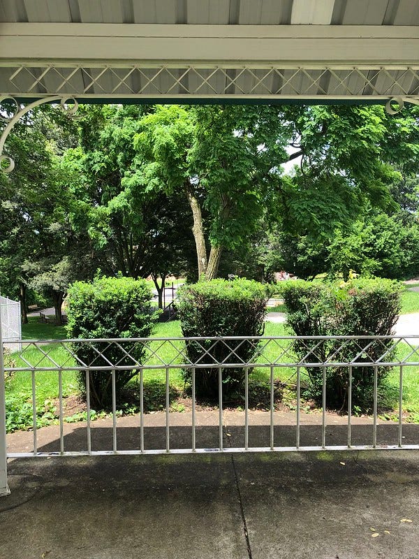 Inside the gazebo looking out over the green grass and shrubs.