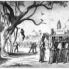 The Trees Of Life That Became Agents Of Death