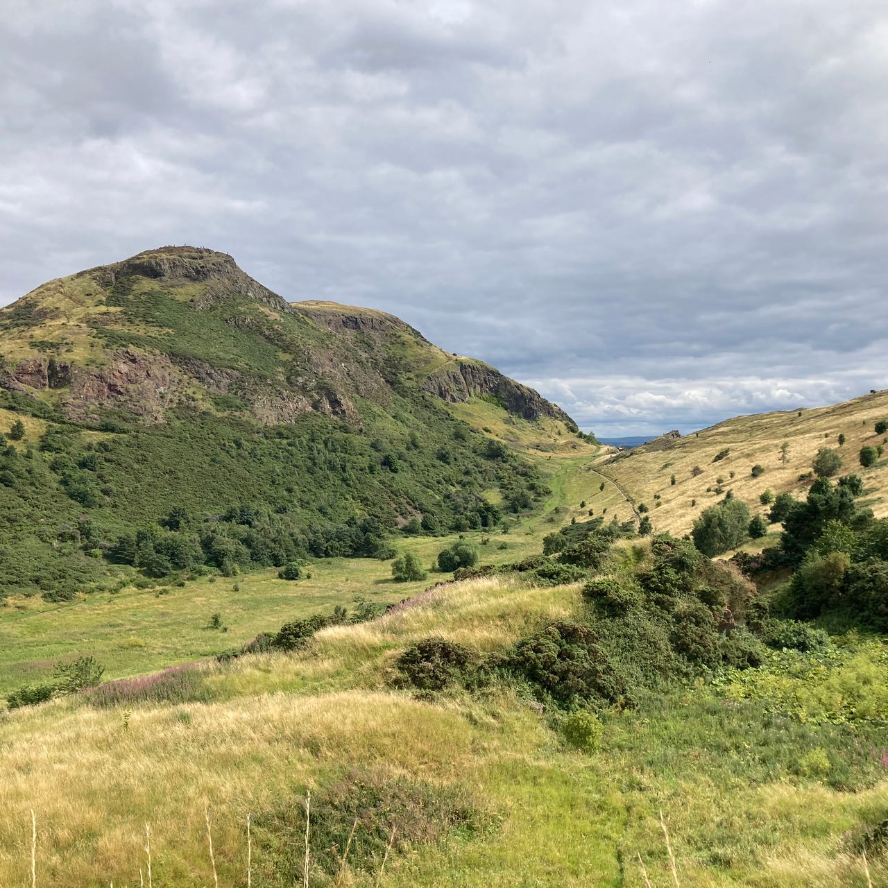 Artwork for Jackson’s Substack