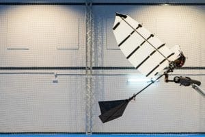 Photo of bird-like robot
