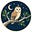 The Quiet Owl's avatar