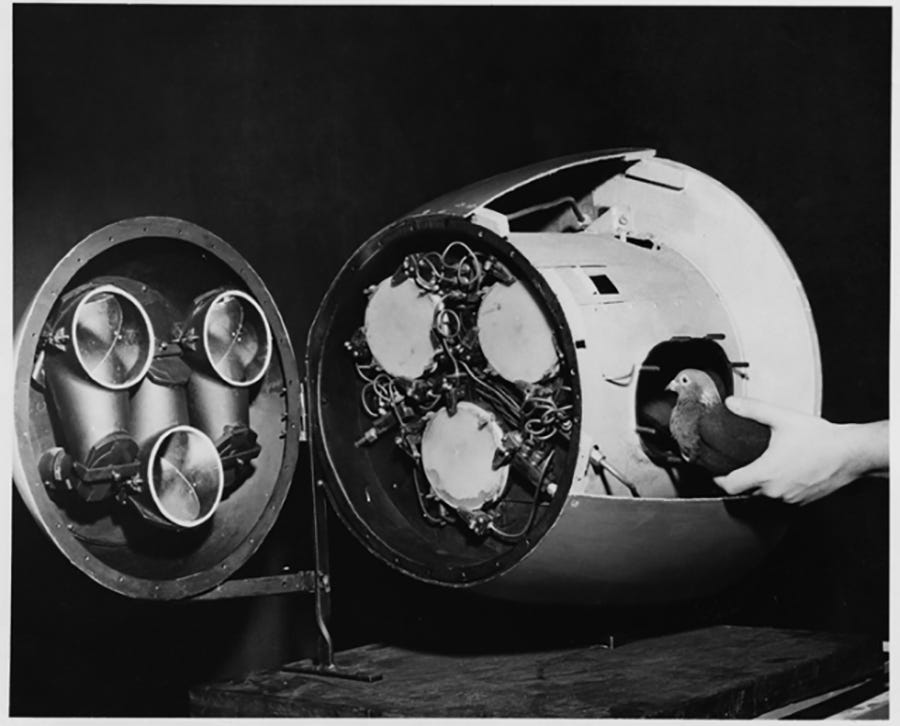 The Saga of the Bird-Brained Bombers | NIST The Saga of the Bird-Brained Bombers | NIST