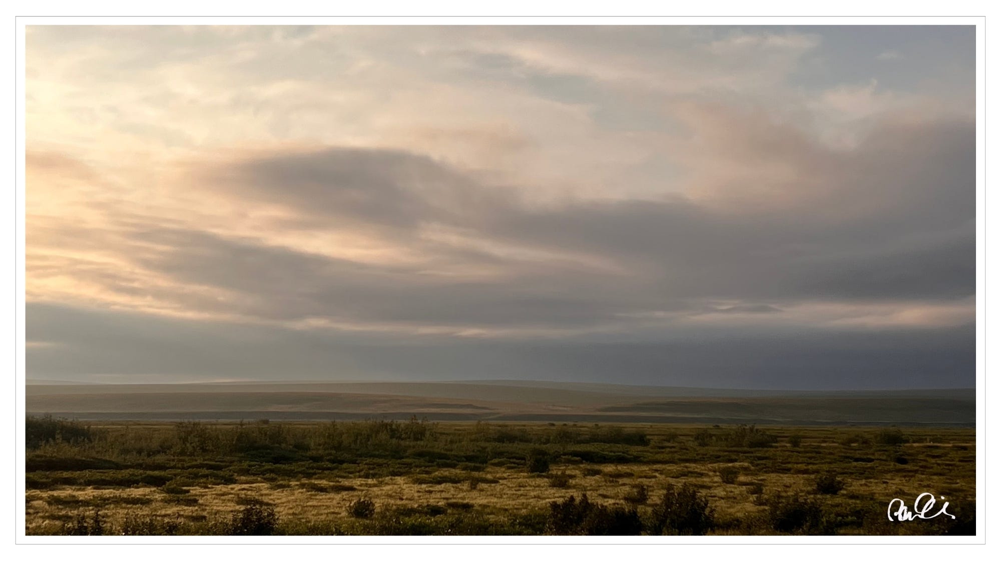Arctic Circle Tundra, sunrise, Alaska