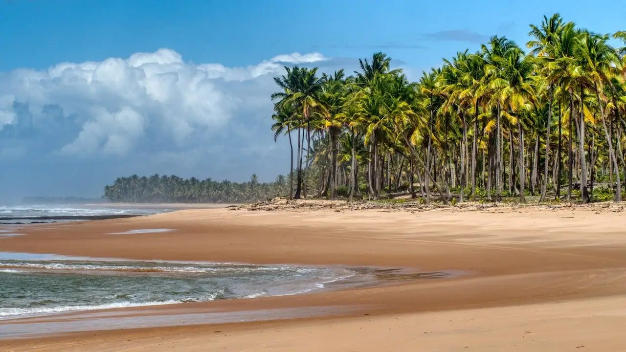 Coconut trees, sand and sea