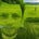 Murat Tepe's avatar