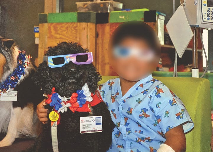 a black dog and two multi-colored dogs interact with kids