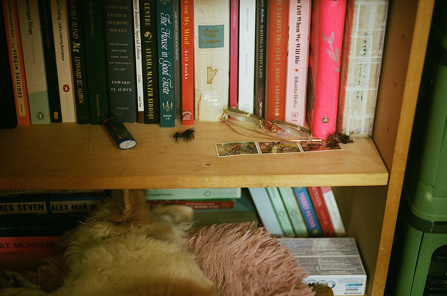A wooden bookshelf filled with colorful books, some stacked horizontally and others vertically. On the middle shelf, there are a pair of gold-rimmed glasses, tarot cards, a lighter, and tufts of dark hair. Below, a fluffy light brown dog is lying down, partially obscured by a pink plush object.