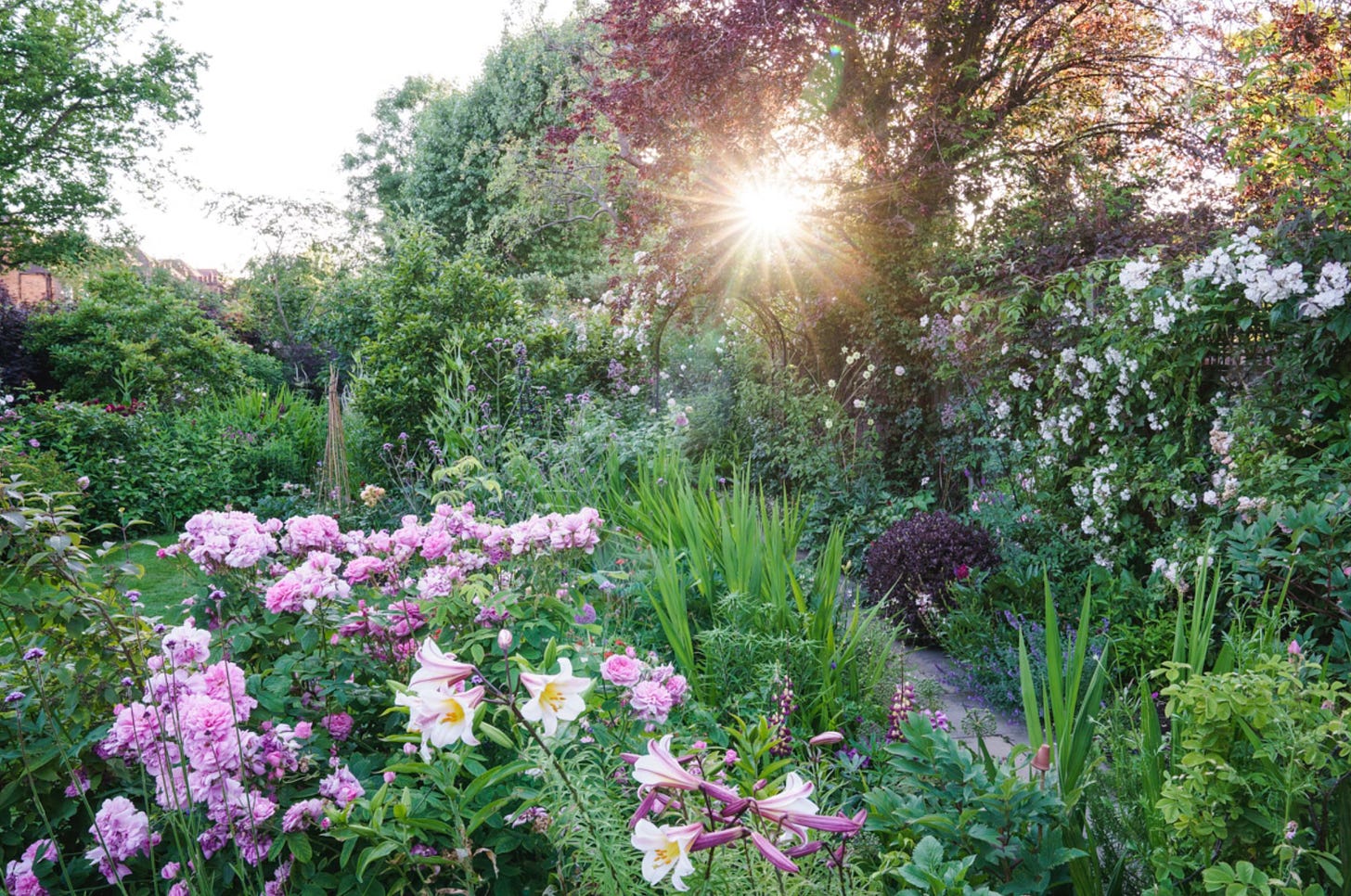 Lush flower-filled garden designed for Sam McKnight with curving borders, roses, lilies and colourful perennials creating a layered cottage-style planting scheme.