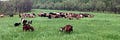 Farmer Greg's Substack