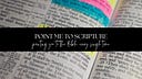 Point Me To Scripture