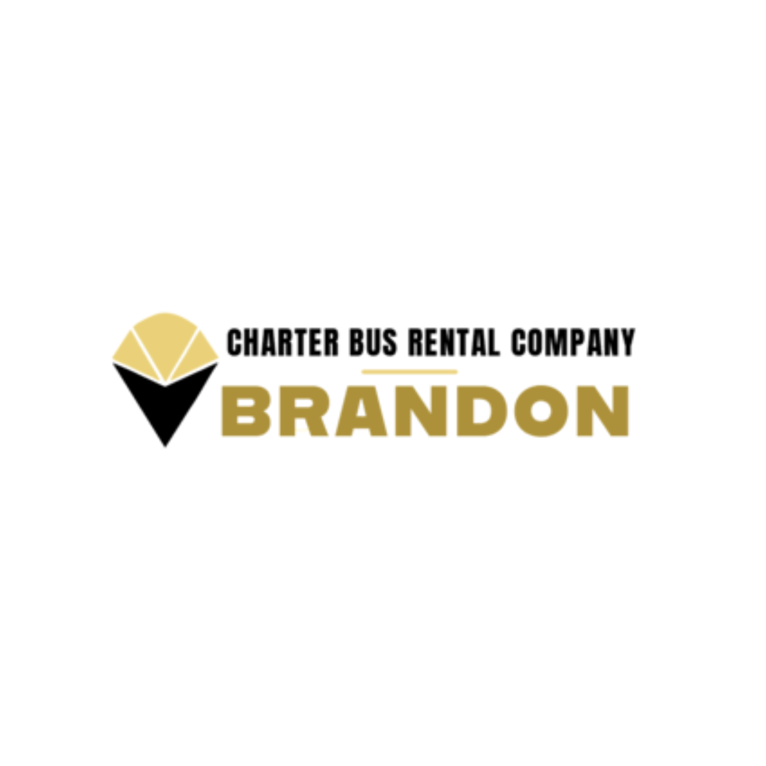 Artwork for Brandon Charter Bus Company