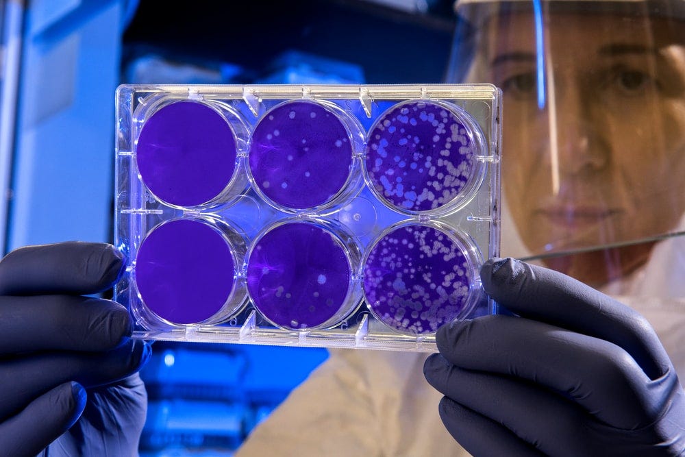 woman holding laboratory appratus woman holding laboratory appratus