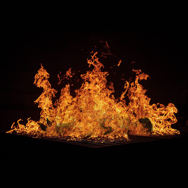 Substack profile picture for @pyre