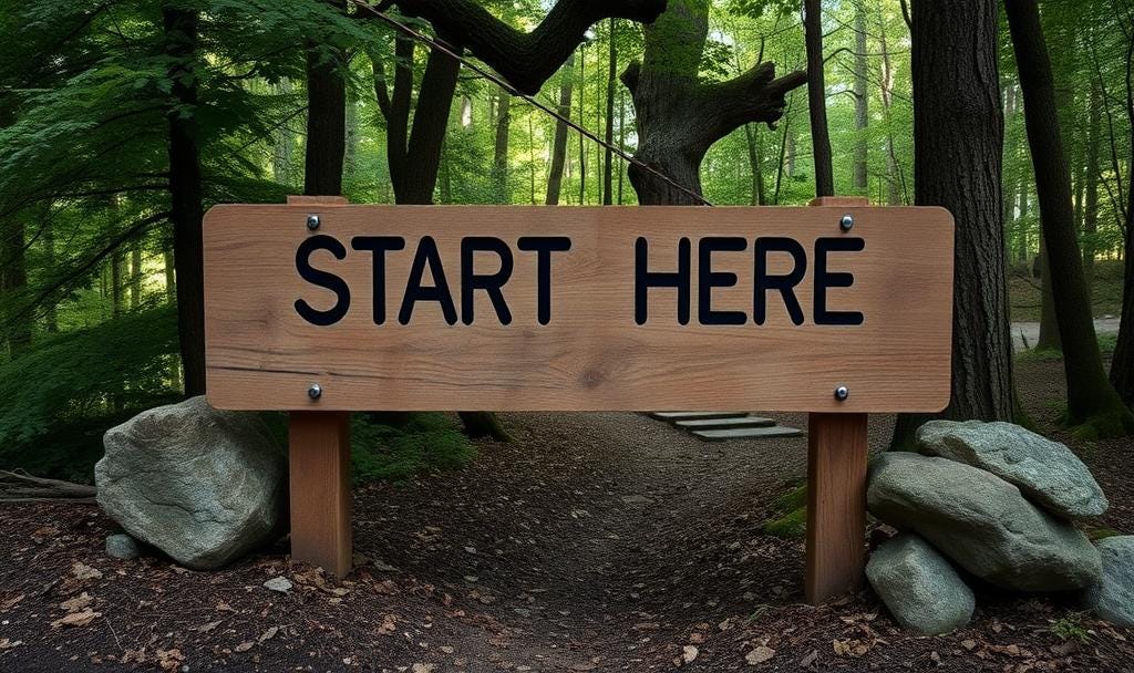 Forest scene with a sign that says start here. 