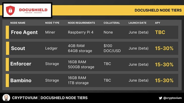 A chart displaying the different node tiers available for Docushield's node program