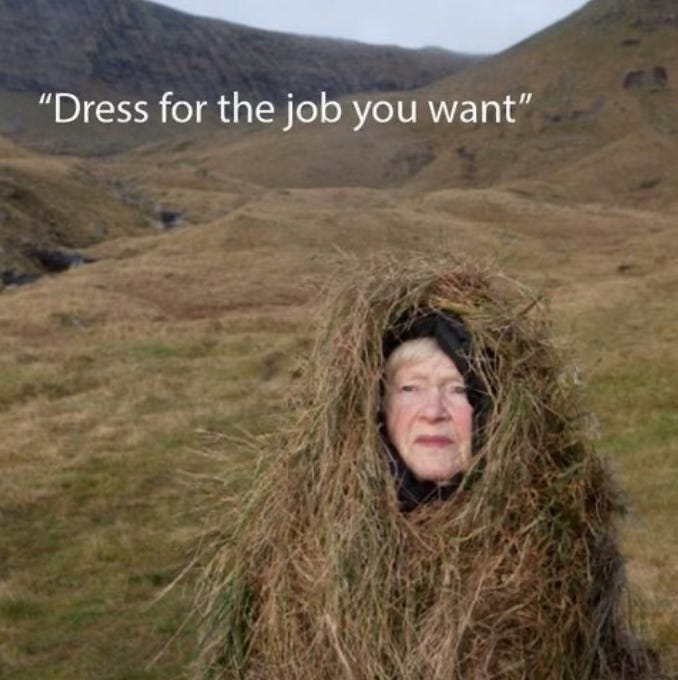 dress for the job you want Dress For The Job