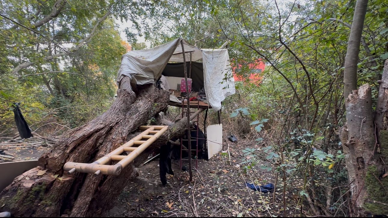 A tree house with a ladder
Description automatically generated A tree house with a ladder
Description automatically generated